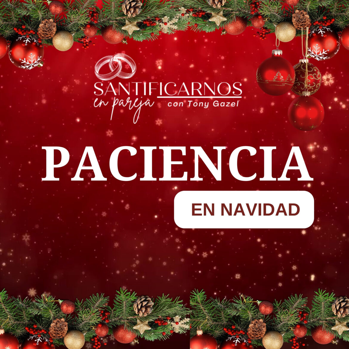 PACIENCIA EN NAVIDAD